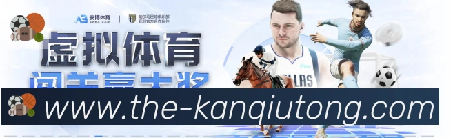 未来规划